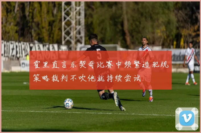 霍里直言东契奇比赛中频繁造犯规策略裁判不吹他就持续尝试