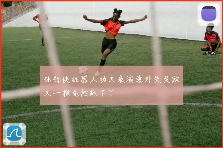 独行侠机器人功夫表演意外失灵欧文一推竟然趴下了