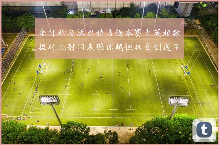 舍什科与沃尔特马德本赛季英超数据对比射门表现优越但机会创造不足